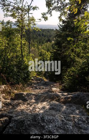 Die berühmten Himmelsleiter-Steinstufen führen durch Granitblöcke zum Gipfel des Berges Lusen im Sommer. Stockfoto