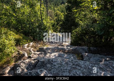 Die berühmten Himmelsleiter-Steinstufen führen durch Granitblöcke zum Gipfel des Berges Lusen im Sommer. Stockfoto