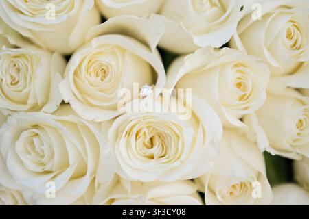 Eleganter Gold-Diamant-Solitär-Verlobungsring liegt auf einem Strauß frischer weißer und cremefarbener Rosen, eine romantische Nahaufnahme, die Liebe symbolisiert Stockfoto