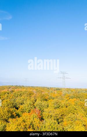 Luftaufnahme eines Herbstwaldes mit Strommasten in der Schweiz Stockfoto