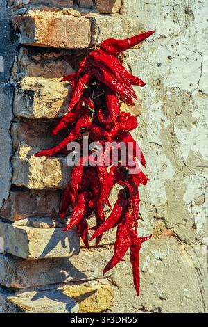 Lange Reihe getrockneter roter Chilischoten, die draußen an einer alten Stein- und Ziegelwand in der ländlichen Abruzzen-Landschaft hängen. Abruzzen, Italien, Europa Stockfoto