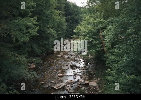 Brewster River fließt durch einen Wald in Cambridge, Vermont, USA Stockfoto