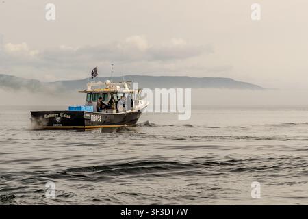 Das Hummerboot ‚Lobster Tales‘ aus Sydney kehrt durch den Morgennebel vor Jersey Cove auf Cape Breton Island, Nova Scotia, Kanada, zurück. An Bord ist die Besatzung damit beschäftigt, den Fang zu sortieren, während eine Flagge mit einem Totenkopf und gekreuzten Knochen am Heck weht Stockfoto