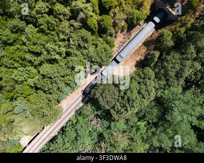 Luftaufnahme eines historischen Dampfzuges durch den Cévennenwald nahe Anduze, Frankreich Stockfoto