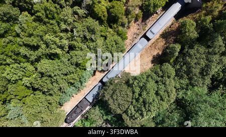 Luftaufnahme eines historischen Dampfzuges durch den Cévennenwald nahe Anduze, Frankreich Stockfoto