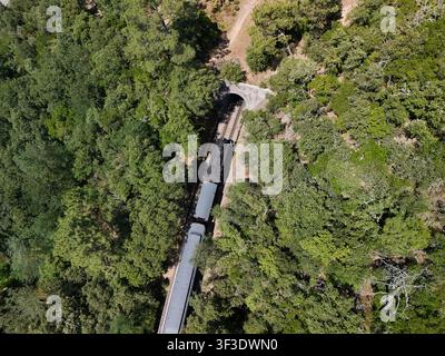 Luftaufnahme eines historischen Dampfzuges durch den Cévennenwald nahe Anduze, Frankreich Stockfoto