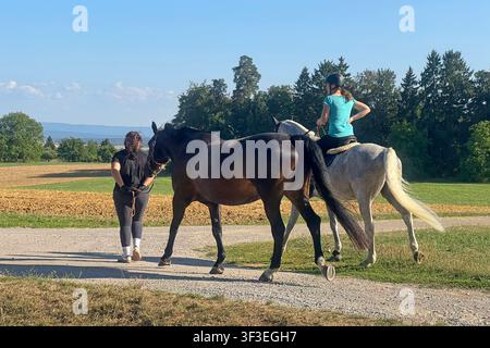 Ein Ritt und Spaziergang mit Pferden in einer idyllischen Sommerlandschaft. Das Bild zeigt eine Szene auf einem ungepflasterten Feldweg bei sonnigem Wetter. In der Mitte sind zwei Pferde von hinten zu sehen. Links wird ein dunkelbraunes Pferd von einer Frau in dunkler Kleidung geführt Stockfoto