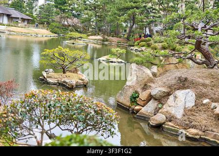 Ein ruhiger japanischer Garten mit einem stillen Teich und sorgfältig angeordneten Felsformationen sowie gepflegten Kiefern, die auf kleinen Inseln wachsen. Der Stockfoto