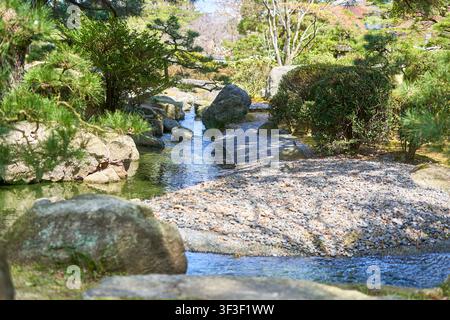 Eine ruhige japanische Gartenszene mit einem sanft fließenden Bach, der sich durch sorgfältig angeordnete Steine und glatte Kiesbetten schlängelt. Üppige grüne Kiefern Stockfoto