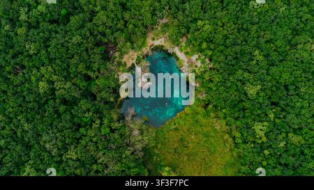 Luftaufnahme des Cenote Corazon del Paraiso, umgeben von dichtem tropischem Dschungel, mit Menschen, die im klaren türkisfarbenen Wasser in Tulum, Quintana Roo schwimmen Stockfoto