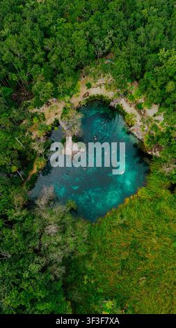 Luftaufnahme des Cenote Corazon del Paraiso, umgeben von üppigem Dschungel mit türkisblauem Wasser, hölzernen Plattformen und Menschen, die in Tulum, Quintana Roo schwimmen Stockfoto