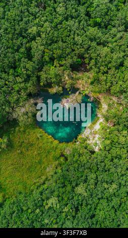 Luftaufnahme des Cenote Corazon del Paraiso, umgeben von dichtem tropischem Dschungel mit türkisblauem Wasser und Menschen, die in Tulum, Quintana Roo, Mexiko schwimmen. Stockfoto