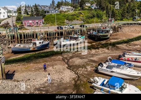 Eine Aussicht von einem hohen Aussichtspunkt auf Halls Harbour, Kings County, Nova Scotia, das bei Ebbe trocken gefallen ist, mit Fischerhütten und dem roten Lagerhaus am Ufer. Zwei Frauen, die spazieren gehen, überqueren das freigelegte Hafenbett zwischen den gestrandeten Booten Stockfoto