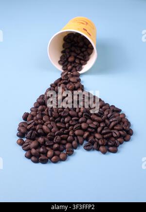 Geröstete Kaffeebohnen, die aus einem Pappbecher auf blauem Hintergrund fallen Stockfoto