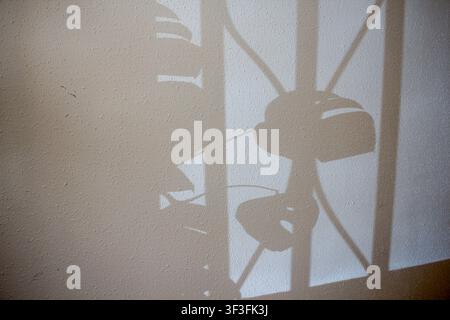 Natürliches Licht erzeugt abstrakte Schatten von Zimmerpflanzblättern und einem dekorativen Fensterrost auf einer neutralen, texturierten Wand, perfekt als minimaler Hintergrund Stockfoto