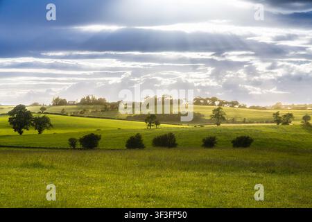 Sonnenstrahlen brechen durch die Wolken über hügeligem grünen Ackerland und Hecken Stockfoto