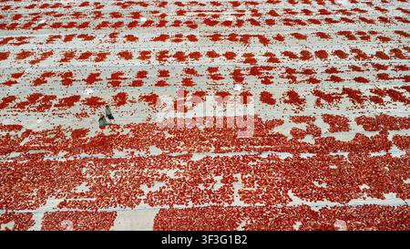 Luftaufnahme von roten Tomaten, die auf weißen Tüchern in einem Feld in Zengen, Konya, Turkiye trocknen, mit Arbeitern. Stockfoto