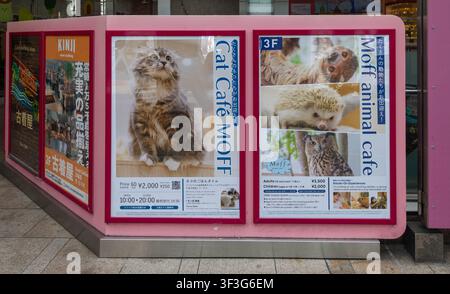 Tokio, Japan – 14. April 2026: Das Cat and Moff Tiercafé bietet ein Café mit Katzen, Eulen und Faultieren, typischer Laden in der Takeshita-Straße, Harakuju, Stockfoto