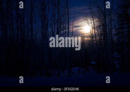 Vollmond hinter Bäumen in einer bewölkten Winternacht in Alaska. Stockfoto