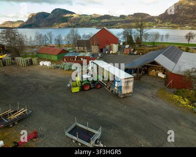 Luftaufnahme einer Weihnachtsbaumfarm in Norwegen mit einem Traktor, der einen Sattelauflieger in der Nähe roter Scheunen belädt, mit einem See und Bergen im Hintergrund Stockfoto