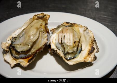 Frische gegrillte Austern auf einem weißen Teller Stockfoto