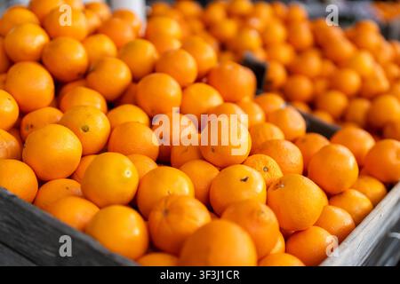 Frische Orangen und Mandarinen in Holzkisten auf einem Markt ausgestellt Stockfoto