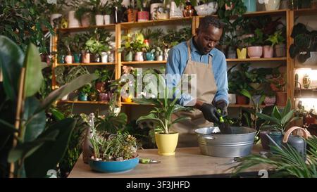 Junger afrikanisch-amerikanischer Mann mischt Erde und Düngemittel und kümmert sich um Pflanzen im Blumengeschäft. Schöner konzentrierter professioneller männlicher Florist bei der Arbeit Stockfoto