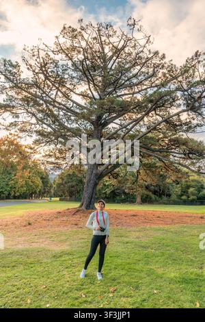 Fröhliche schöne asiatische Frau in lässigem Outfit mit Kamera und rotem Riemen, die unter einer massiven Kiefer in einem malerischen Park im Herbst steht. Genießt na Stockfoto