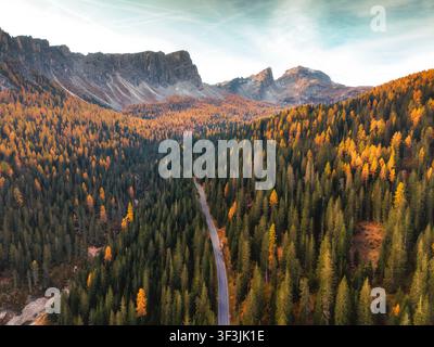 Luftbild einer schmalen Bergstraße durch dichten Herbst-Lärchenwald und dramatische felsige Berge unter blauem Himmel in den Dolomiten, Italien Stockfoto