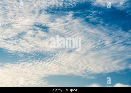 Weiter blauer Himmel gefüllt mit texturierten weißen Altokumuluswolken, flauschige Wolkenformation, weiches welliges Muster im Tageslicht Stockfoto