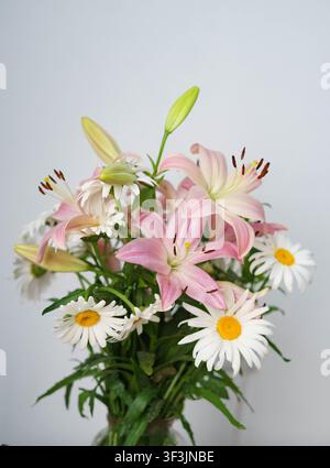 Bunter Schmetterling ruht auf weißen Gänseblümchen in einem Sommergarten. Stockfoto