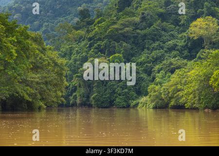 Dichter grüner Dschungel bedeckt Berge und Hügel, die sich im braunen Wasser des Ba-Be-Flusses in Vietnam spiegeln Stockfoto