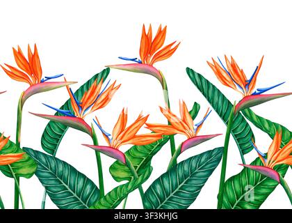 Nahtlose Bordüre von Strelitzienblumen. Paradiesvogelblumen, tropische Bordüre. Aquarellillustration von Strelitzien. Handgezeichnete Illustration von Stockfoto