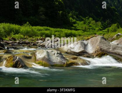 Ein klarer Gebirgsbach fließt über glatte, moosige Felsen, umgeben von dichtem grünem Wald und natürlicher Hügelvegetation. Stockfoto