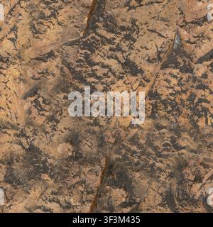 Eine Ansicht von oben einer natürlichen braunen Steinoberfläche mit detaillierten dunklen Rissen und geologischen Adern. Stockfoto