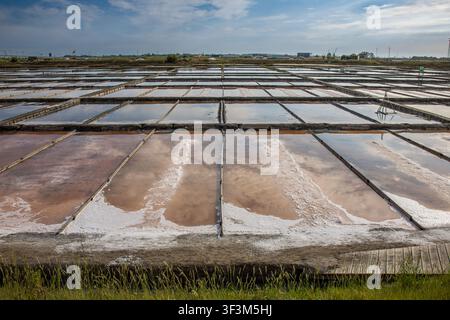 Panoramicblick auf die traditionellen Salinen von Aveiro, Portugal. Reflektierende Verdunstbecken und geometrische Muster. Stockfoto
