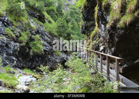 Ein hölzerner Bohlenweg windet sich durch eine üppige, grüne Schlucht, mit hohen, moosbedeckten Felswänden auf beiden Seiten. Der Bohlenweg ist mit Holzplanken gebaut Stockfoto