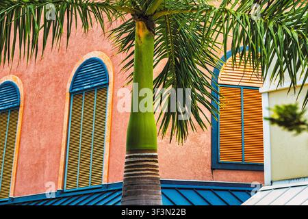 Eine lebendige tropische Szene mit einer Palme, die sich deutlich vor einem farbenfrohen Gebäude abhebt. Stockfoto