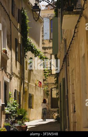 Rückansicht einer Frau, die ihren Hund durch eine sonnige, enge Wohnstraße mit geschlossenen Fensterläden in Arles, Frankreich, führt Stockfoto