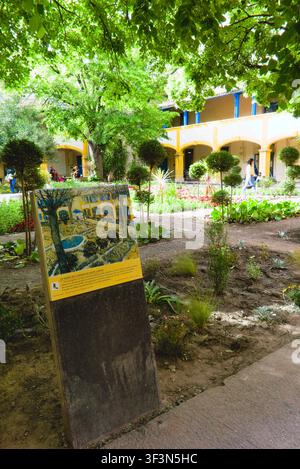 Eine Informationsplakette, die Van Goghs Gemälde zeigt, steht im Gartenhof des Espace Van Gogh in Arles, Frankreich. Stockfoto
