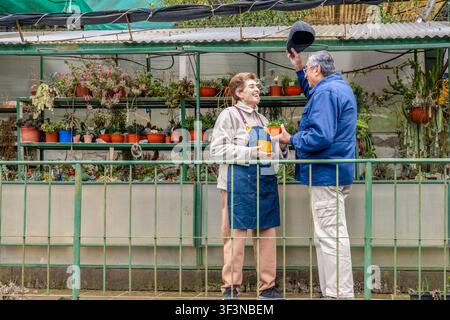 Verspielter Senior hebt seine Flatcap vom Kopf, während eine Frau in einer Jeansschürze vor ihrem Gewächshaus fröhlich lacht und eine kleine Sukkulente hält Stockfoto