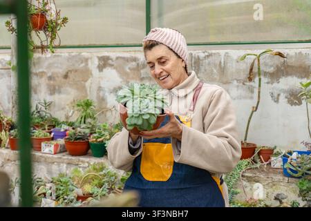 Fröhliche ältere Frau mit einem rosa Strickstirnband und einer Jeansschürze lächelt herzlich, während sie eine große Echeveria-Sukkulente in einem Terrakotta-Topf in ihrem Inneren hält Stockfoto