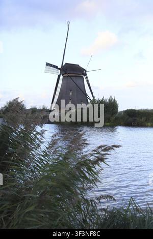 Eine Windmühle neben einem Fluss vor einem blauen Himmel mit Wolken und Schilf im Vordergrund, Windmühlen in Kinderdijk, den Niederlanden Stockfoto