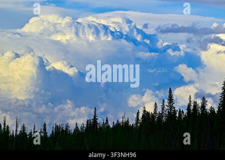 Wolkenformationen, die sich über dem Maxwellsee in der Nähe von Hinton im Westen Albertas in Kanada bilden. Stockfoto