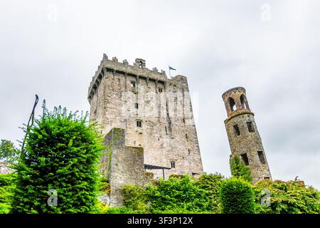 Niedrigwinkelaufnahme von Blarney Castle in der Grafschaft Cork, Irland, die das hohe mittelalterliche Steinturmhaus und den angrenzenden runden Turm zeigt, umgeben von üppigem Grün Stockfoto