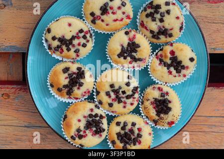 Hausgemachte Vanille-Muffins mit Schokoladenstückchen und roten Johannisbeeren auf einem blauen Keramikteller, Ansicht von oben Stockfoto