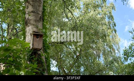 Vogelhaus aus Holz, das an einem Baumstamm montiert ist, umgeben von üppigen grünen Blättern und Ästen Stockfoto