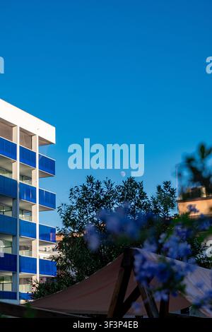 Blühende Äste mit einem modernen Wohnhaus im Hintergrund Stockfoto
