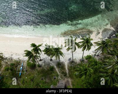 Hohe Palmen säumen einen weißen Sandstrand neben türkisfarbenem Wasser und felsiger Küste. Camotes, Philippinen. Stockfoto