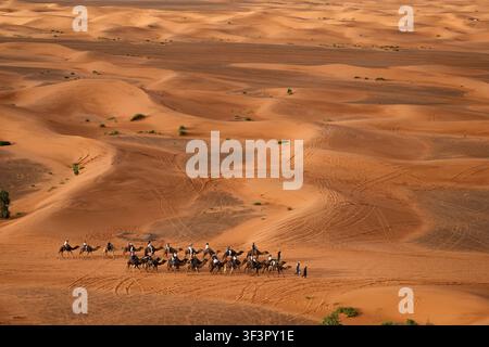 Ein ruhiger Wohnwagen durchquert die weiten, sanft geschwungenen Dünen des Erg Chebbi in der Sahara-Wüste, Marokko. Das warme Sonnenlicht wirft sanfte Schatten und erinnert an ein Stockfoto